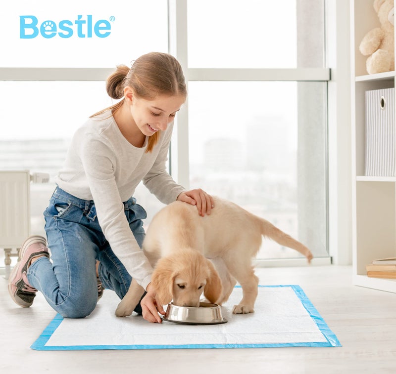 BESTLE Large Pet Training and Puppy Pads Pee Pad for Dogs 24"x24"-80 Count Super Absorbent & Leak-Proof - Image 3